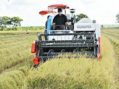 Thu hoạch lúa tại cánh đồng của HTX Nông nghiệp dịch vụ An Nhứt (xã An Nhứt, huyện Long Điền).