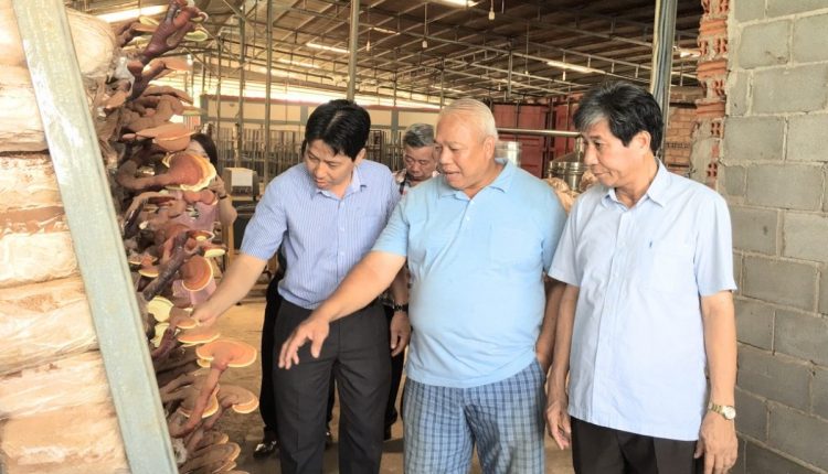 Thường trực Hiệp hội tiếp xúc thăm hỏi doanh nghiệp